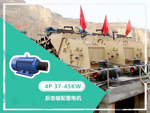 反擊破配置電機(jī)